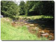 Natur_pur.jpg
