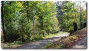 Unser_Wanderweg.jpg