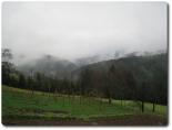img_0842.jpg