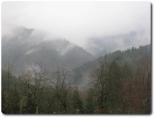 img_0843.jpg