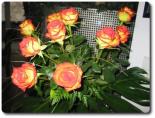 Weinachten.3.2006.jpg