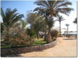Weihnachten__-__Hurghada_2011_-024.jpg