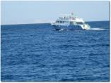 Weihnachten__-__Hurghada_2011_-033.jpg