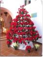 Weihnachten__-__Hurghada_2011_-038.jpg